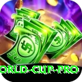 2024 t20 world cup Master - Win Real PKR