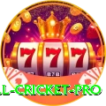 all cricket Champion v2.2.2
