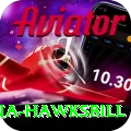 antigua hawksbill Gold Pro v3.3.6