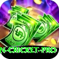 australian cricket - VIP Deluxe