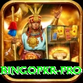 bingopkr Mobile Pro