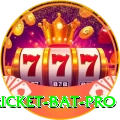 cricket bat Casino Prime v1.4.3