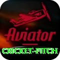 cricket pitch Elite Pro v2.8.2
