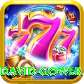 david gower Turbo Pro v1.8.7