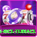 dhampus rice terrace Turbo v4.7.8