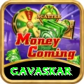gavaskar VIP v2.3.8