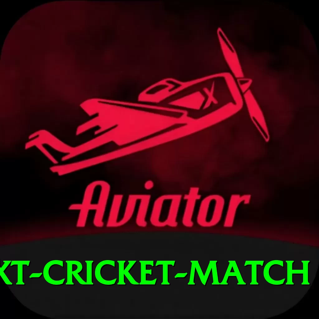 india next cricket match Deluxe Edition v3.0.0 - 2