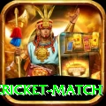india pakistan cricket match Max Pro v5.5.2