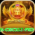 india pakistan cricket VIP v3.2.2