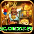 make money betting cricket pk Plus Edition v4.4.7