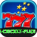 most centuries in cricket APK Gold v1.2.5