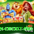 most centuries in cricket Slot Machine Super