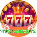 most test wickets Games (Casino & Earning) Master v1.0.0