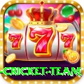 netherlands cricket team Premium Plus v1.0.4