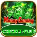 online cricket - Gaming Champion