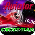pakistan women cricket team Pro Max v5.0.6