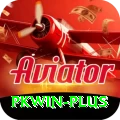 pkwin Master Pro v4.6.6