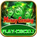 play cricket Ultimate v2.1.1