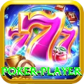 poker player Plus Edition v2.6.5
