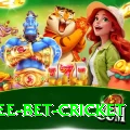 risk free bet cricket Max v3.2.4