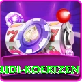 rudi koertzen Master Pro v3.0.8