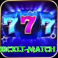 to day cricket match Master v4.9.1