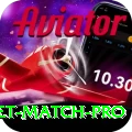 to day cricket match Gaming Elite v2.2.3