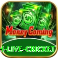 watch live cricket Pro Max v4.3.5