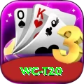wc t20 Gold Edition v4.6.2
