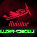 willow cricket Pro v3.8.8