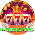 willow cricket Mega v4.1.6