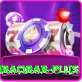 winbaobab Plus Pro v2.4.8
